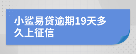 小鲨易贷逾期19天多久上征信