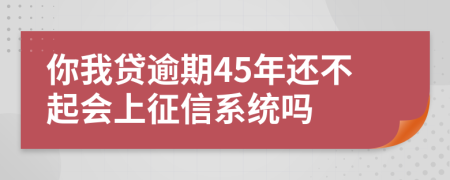你我贷逾期45年还不起会上征信系统吗