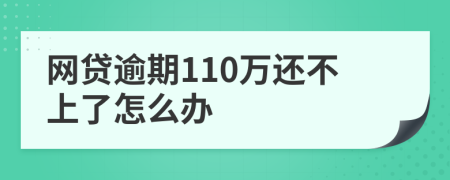 网贷逾期110万还不上了怎么办