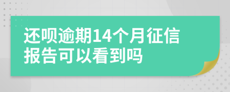 还呗逾期14个月征信报告可以看到吗