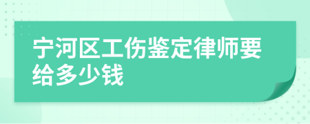 宁河区工伤鉴定律师要给多少钱