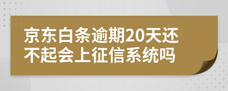 京东白条逾期20天还不起会上征信系统吗