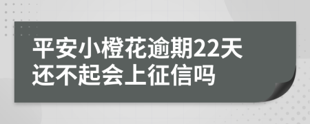 平安小橙花逾期22天还不起会上征信吗