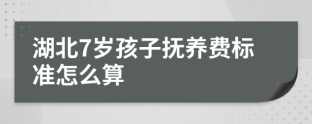 湖北7岁孩子抚养费标准怎么算