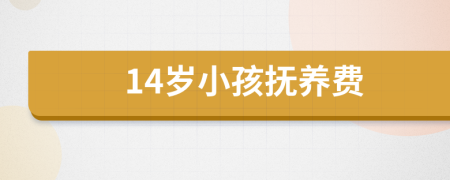 14岁小孩抚养费