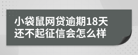 小袋鼠网贷逾期18天还不起征信会怎么样