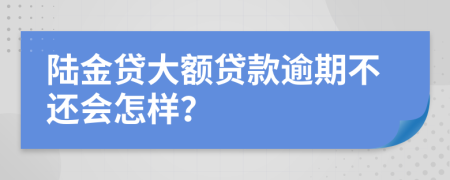 陆金贷大额贷款逾期不还会怎样？