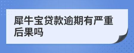 犀牛宝贷款逾期有严重后果吗