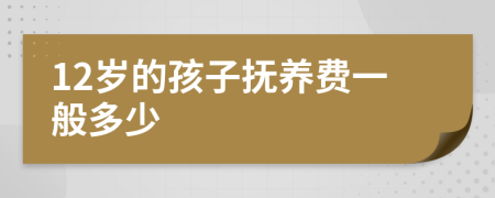 12岁的孩子抚养费一般多少