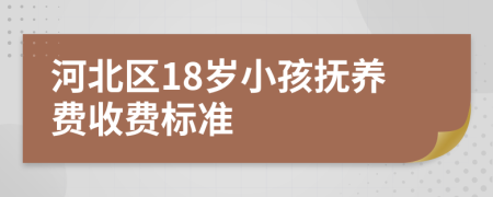 河北区18岁小孩抚养费收费标准