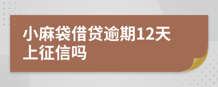 小麻袋借贷逾期12天上征信吗