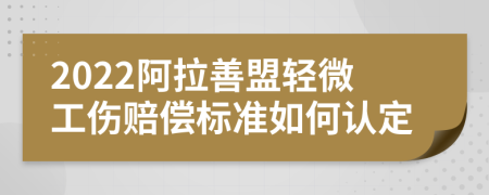 2022阿拉善盟轻微工伤赔偿标准如何认定