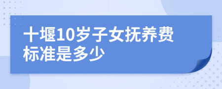 十堰10岁子女抚养费标准是多少