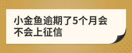 小金鱼逾期了5个月会不会上征信