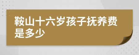 鞍山十六岁孩子抚养费是多少