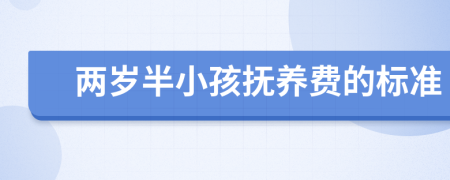 两岁半小孩抚养费的标准