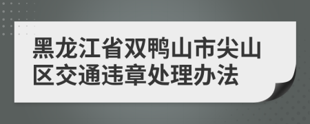 黑龙江省双鸭山市尖山区交通违章处理办法