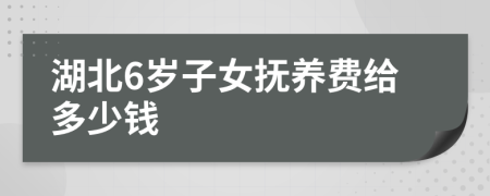 湖北6岁子女抚养费给多少钱