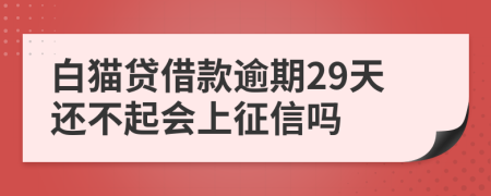 白猫贷借款逾期29天还不起会上征信吗