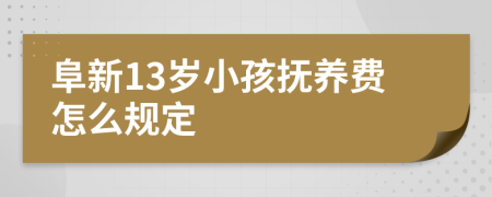 阜新13岁小孩抚养费怎么规定