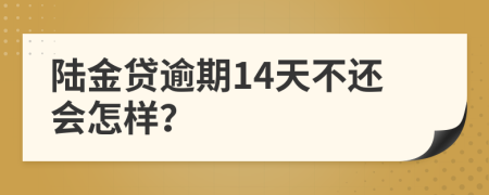 陆金贷逾期14天不还会怎样？