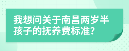 我想问关于南昌两岁半孩子的抚养费标准？