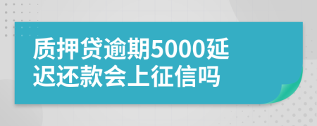 质押贷逾期5000延迟还款会上征信吗