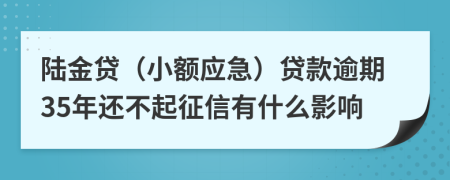 陆金贷（小额应急）贷款逾期35年还不起征信有什么影响