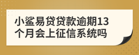 小鲨易贷贷款逾期13个月会上征信系统吗