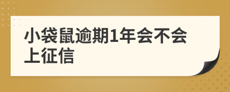 小袋鼠逾期1年会不会上征信