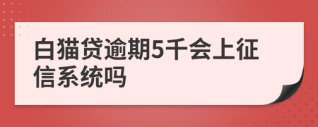 白猫贷逾期5千会上征信系统吗