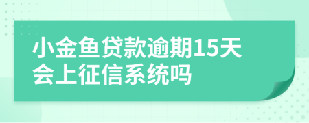 小金鱼贷款逾期15天会上征信系统吗