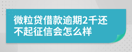 微粒贷借款逾期2千还不起征信会怎么样