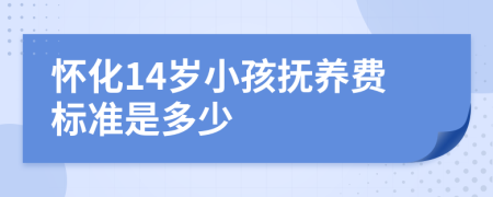 怀化14岁小孩抚养费标准是多少