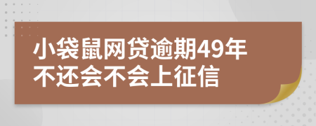 小袋鼠网贷逾期49年不还会不会上征信