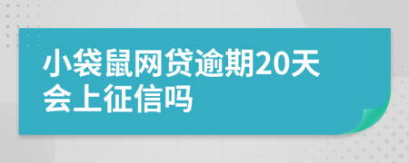 小袋鼠网贷逾期20天会上征信吗