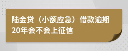 陆金贷（小额应急）借款逾期20年会不会上征信