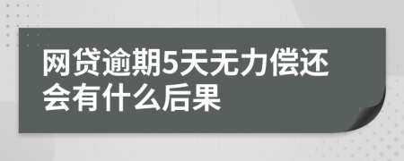 网贷逾期5天无力偿还会有什么后果