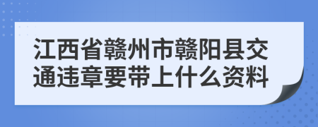江西省赣州市赣阳县交通违章要带上什么资料