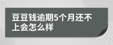 豆豆钱逾期5个月还不上会怎么样