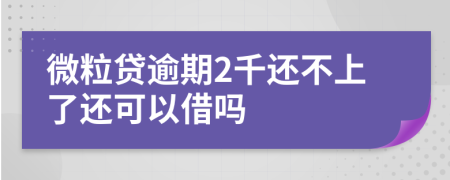 微粒贷逾期2千还不上了还可以借吗