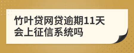 竹叶贷网贷逾期11天会上征信系统吗