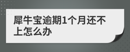 犀牛宝逾期1个月还不上怎么办