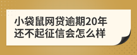 小袋鼠网贷逾期20年还不起征信会怎么样