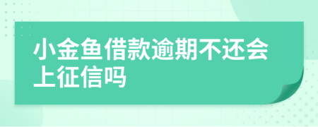 小金鱼借款逾期不还会上征信吗