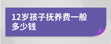 12岁孩子抚养费一般多少钱