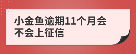 小金鱼逾期11个月会不会上征信