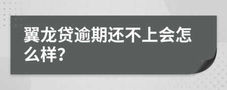 翼龙贷逾期还不上会怎么样？