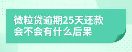 微粒贷逾期25天还款会不会有什么后果