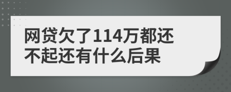 网贷欠了114万都还不起还有什么后果